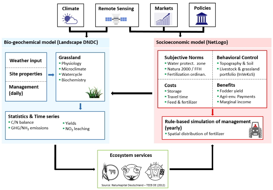 framework of the bioeconomic model