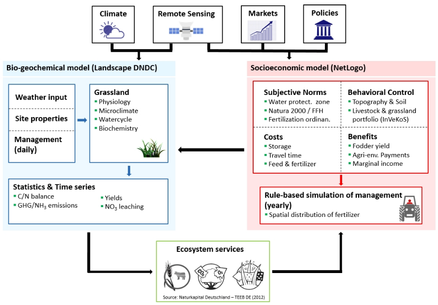 Susalps Bioeconomic Model