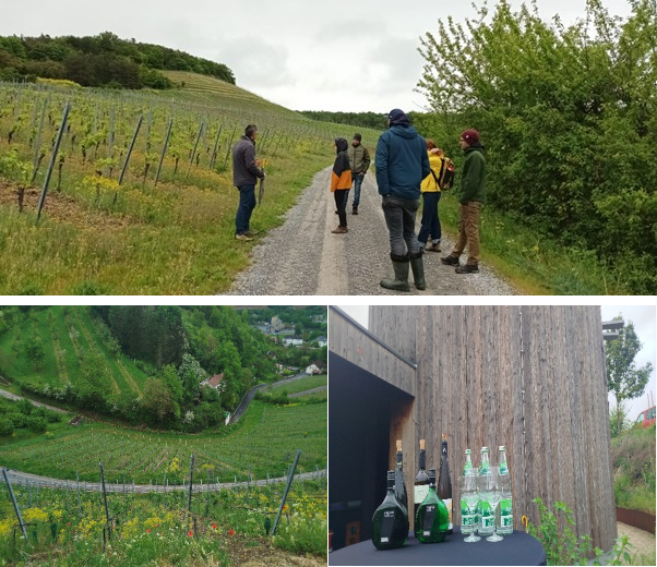 Workshop Franconia